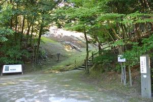 荒神谷遺跡3.jpg